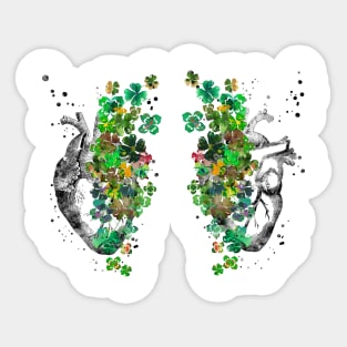 Heart anatomy, heart with four-leaf clovers Sticker